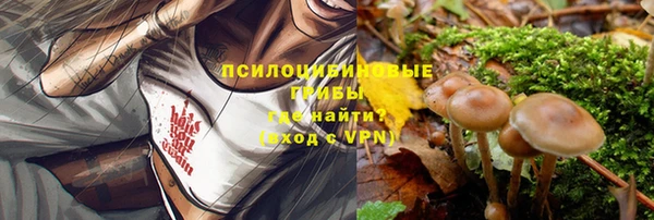 a pvp Армянск