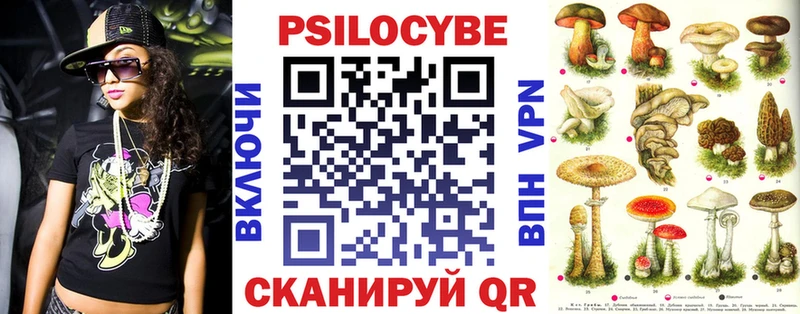Псилоцибиновые грибы прущие грибы Светогорск